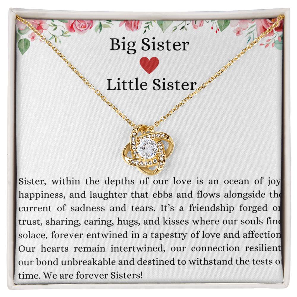 Big Sister Little Sister Gift