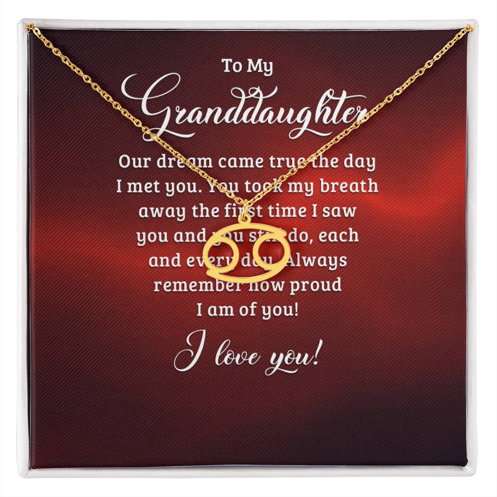 Zodiac Symbol Necklace - Dream Come True Granddaughter